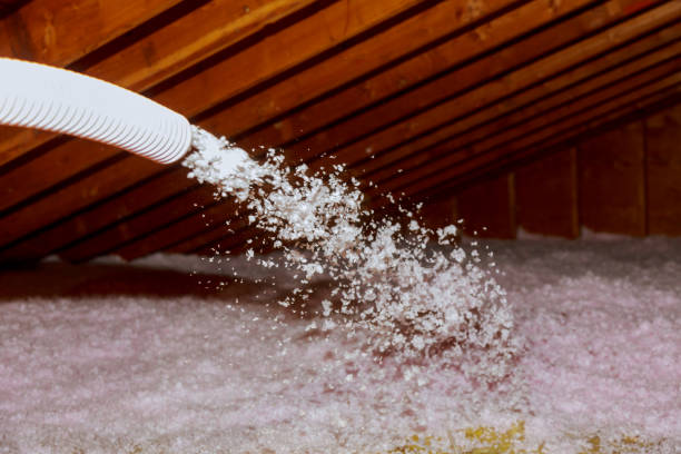 Best Eco-Friendly Insulation in Yalaha, FL