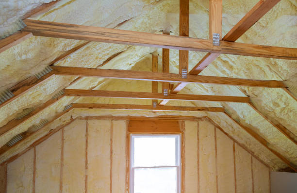 Best Insulation Maintenance and Repair in Yalaha, FL