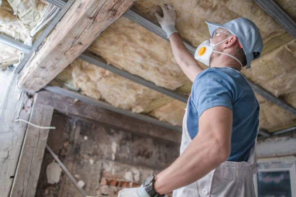 Best Insulation Maintenance and Repair in Yalaha, FL