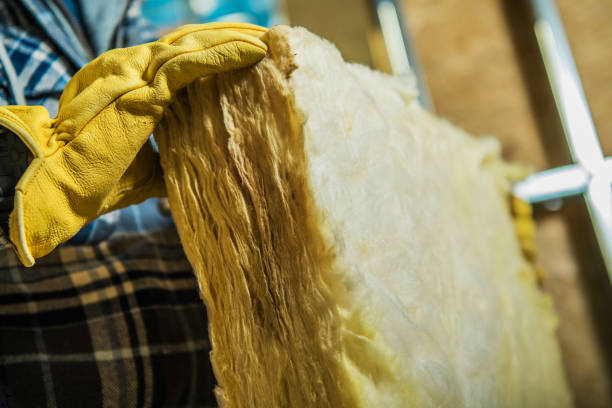 Best Geographic-Specific Insulation Services in Yalaha, FL