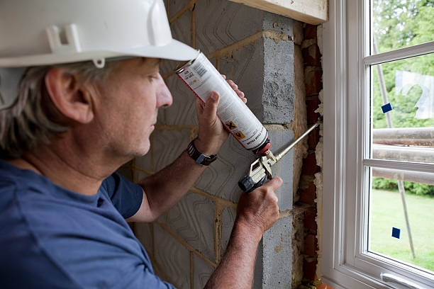 Best Cellulose Insulation in Yalaha, FL