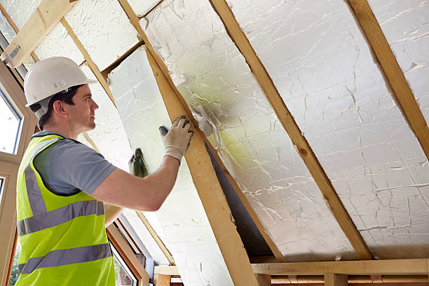 Best Blown-in Insulation in Yalaha, FL